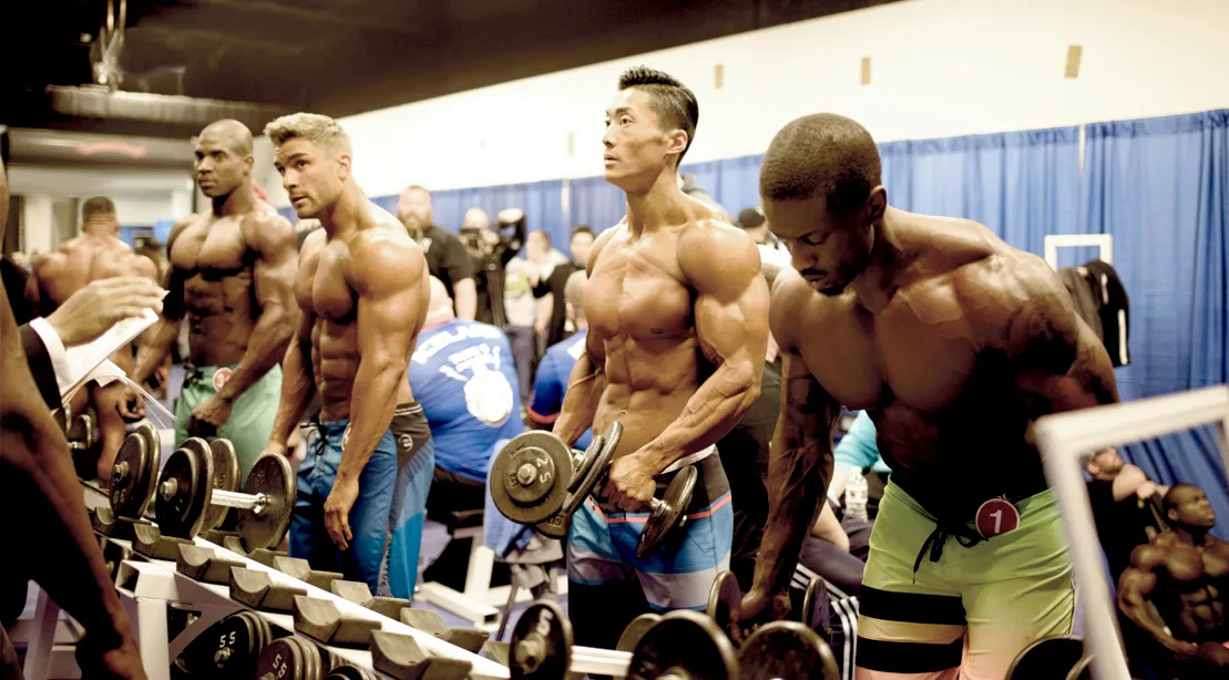 ,Exercises,Increase Muscle Strength