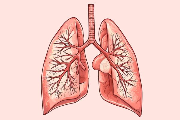 7 Tips Menjaga Kesehatan Paru-paru 7 Tips Menjaga Kesehatan Paru-paru
