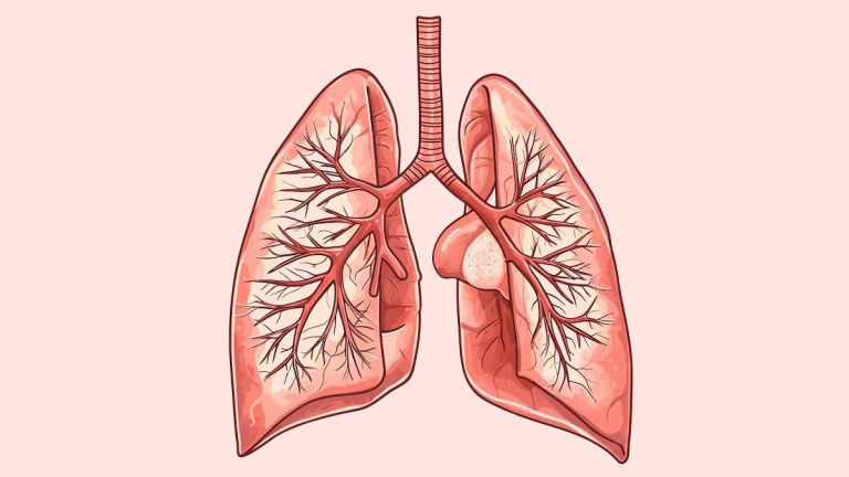 7 Tips Menjaga Kesehatan Paru-paru