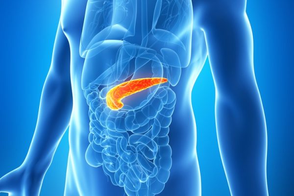 5 Tips Menjaga Pankreas bagi Penderita Diabetes 5 Tips Menjaga Pankreas bagi Penderita Diabetes